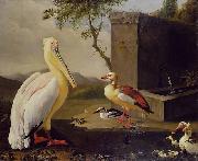 Adriaen Coorte Pelican and ducks in a mountain landscape or Oriental Birds oil painting picture wholesale